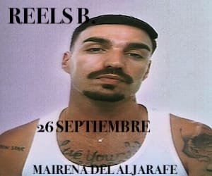 Cabaret Festival 2025: La banda sonora del verano se alarga 12 REELS B